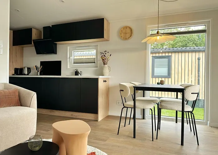 Chalet 501B Op Recreatiepark De Wielen